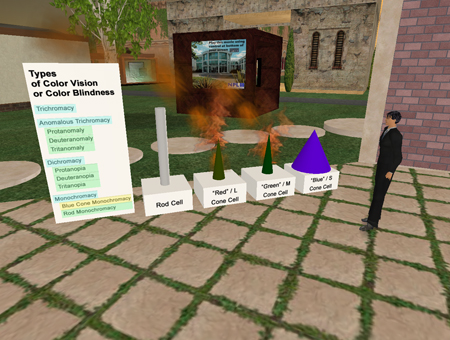 Illustrating Blue Cone Monochromacy